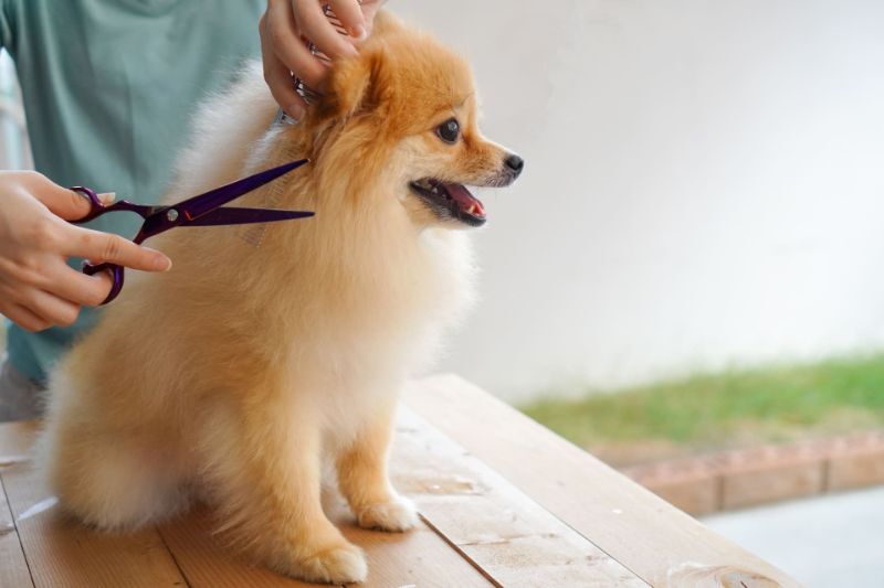 AdobeStock_299768975
